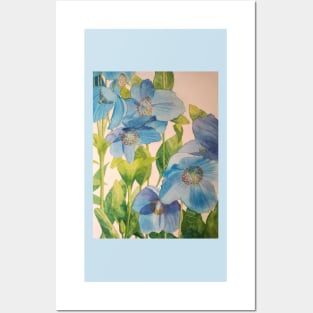 Blue poppies watercolour painting Posters and Art